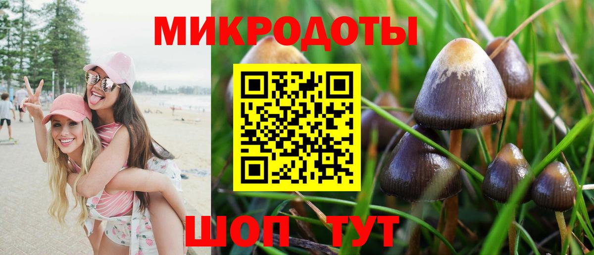 Волоколамск  Псилоцибиновые грибы MAGIC MUSHROOMS  Вход с VPN 